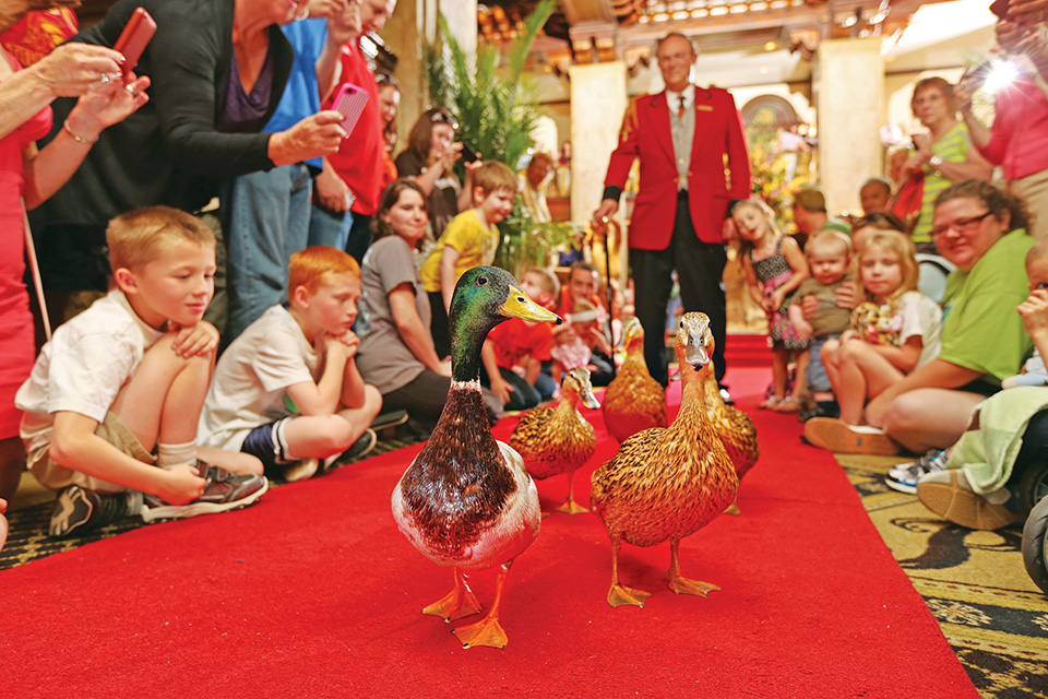 Families at the duck parade at The Peabody hotel in Memphis, Tennessee (photo courtesy of Memphis Convention & Visitors Bureau) Families at the duck parade at The Peabody hotel in Memphis, Tennessee (photo courtesy of Memphis Convention & Visitors Bureau)