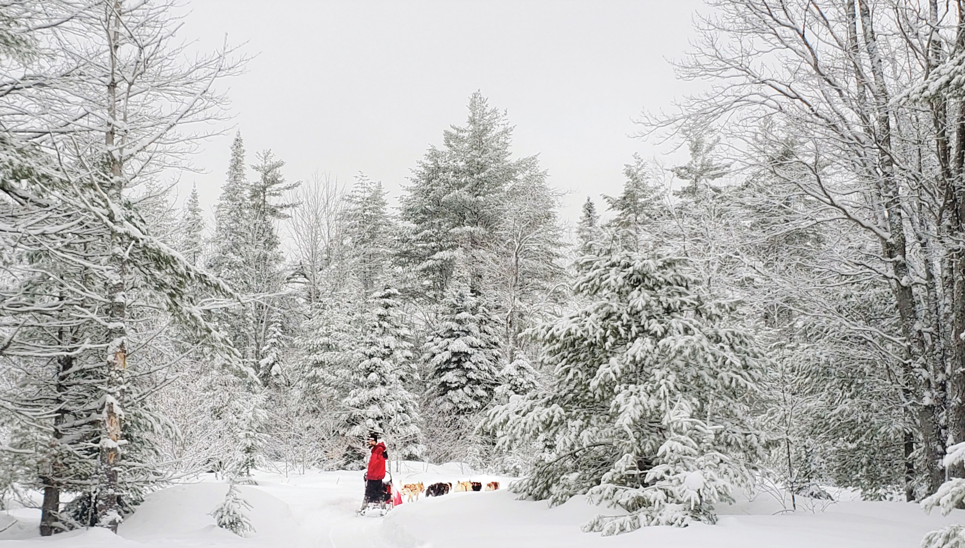 Nature’s Kennel Sled Dog Racing and Adventures in McMillan, Michigan (photo courtesy of destination) Nature’s Kennel Sled Dog Racing and Adventures in McMillan, Michigan (photo courtesy of destination)
