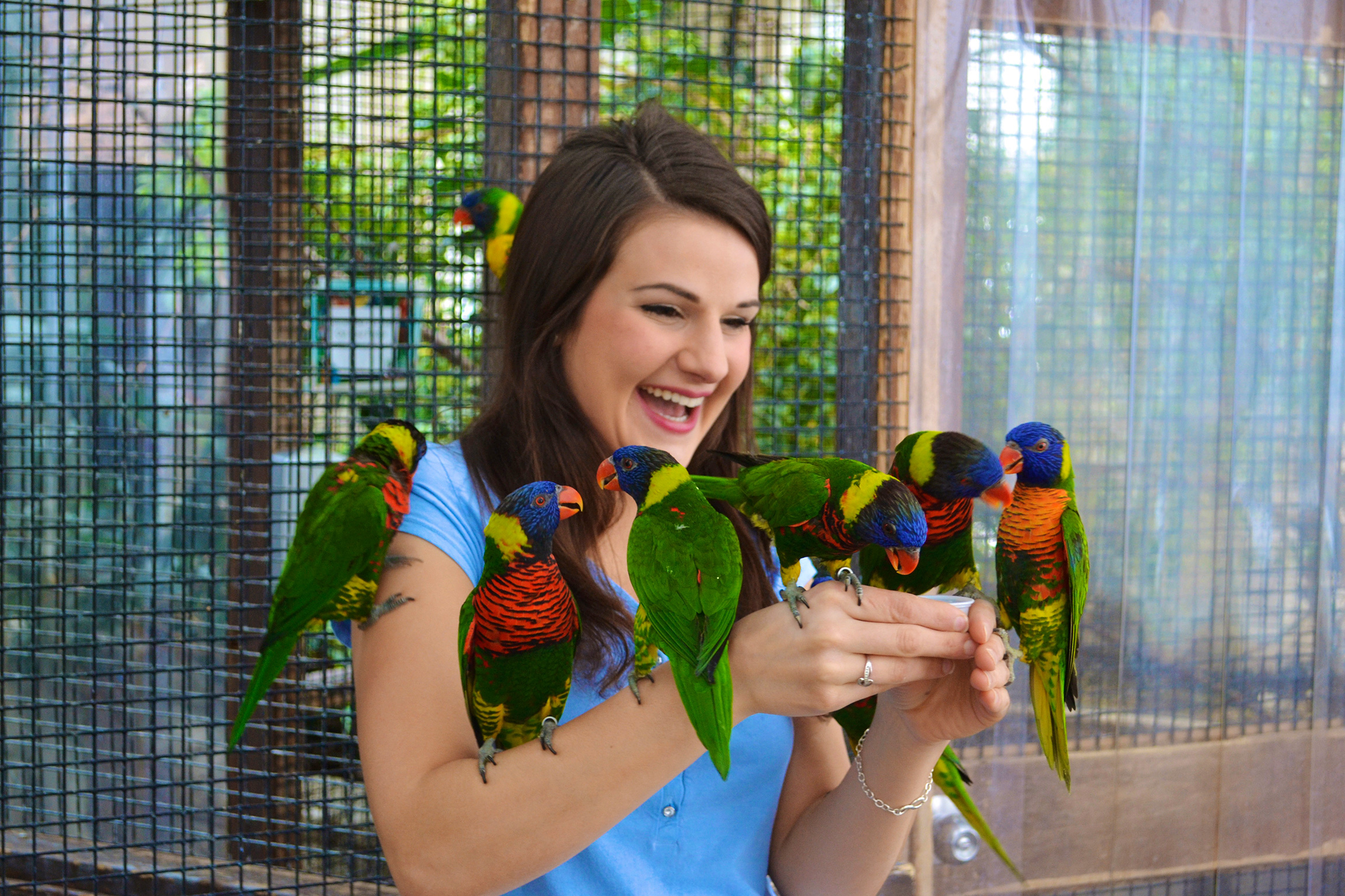 Bird Kingdom in Niagara Falls, Ontario (photo courtesy of destination) Bird Kingdom in Niagara Falls, Ontario (photo courtesy of destination)