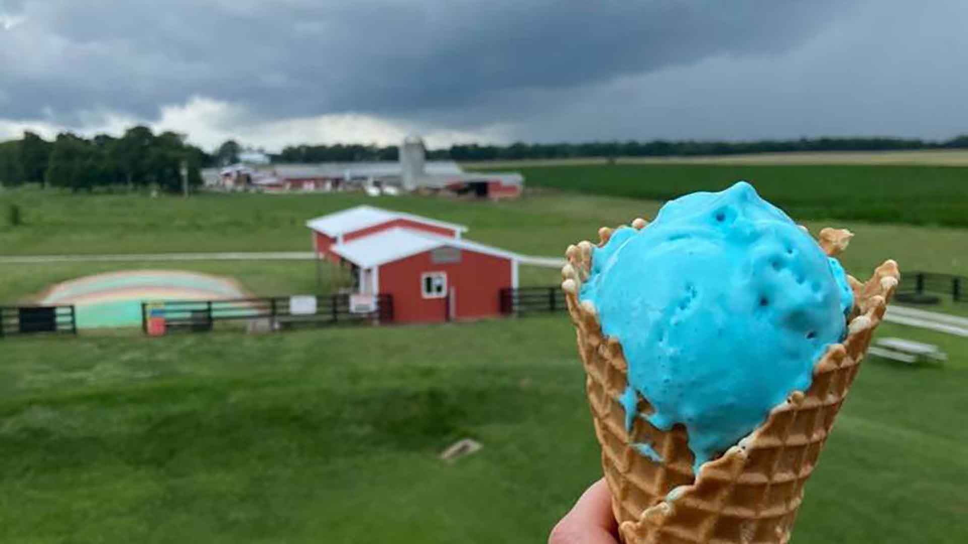Chaney S Dairy Barn (1) Chaney S Dairy Barn (1)