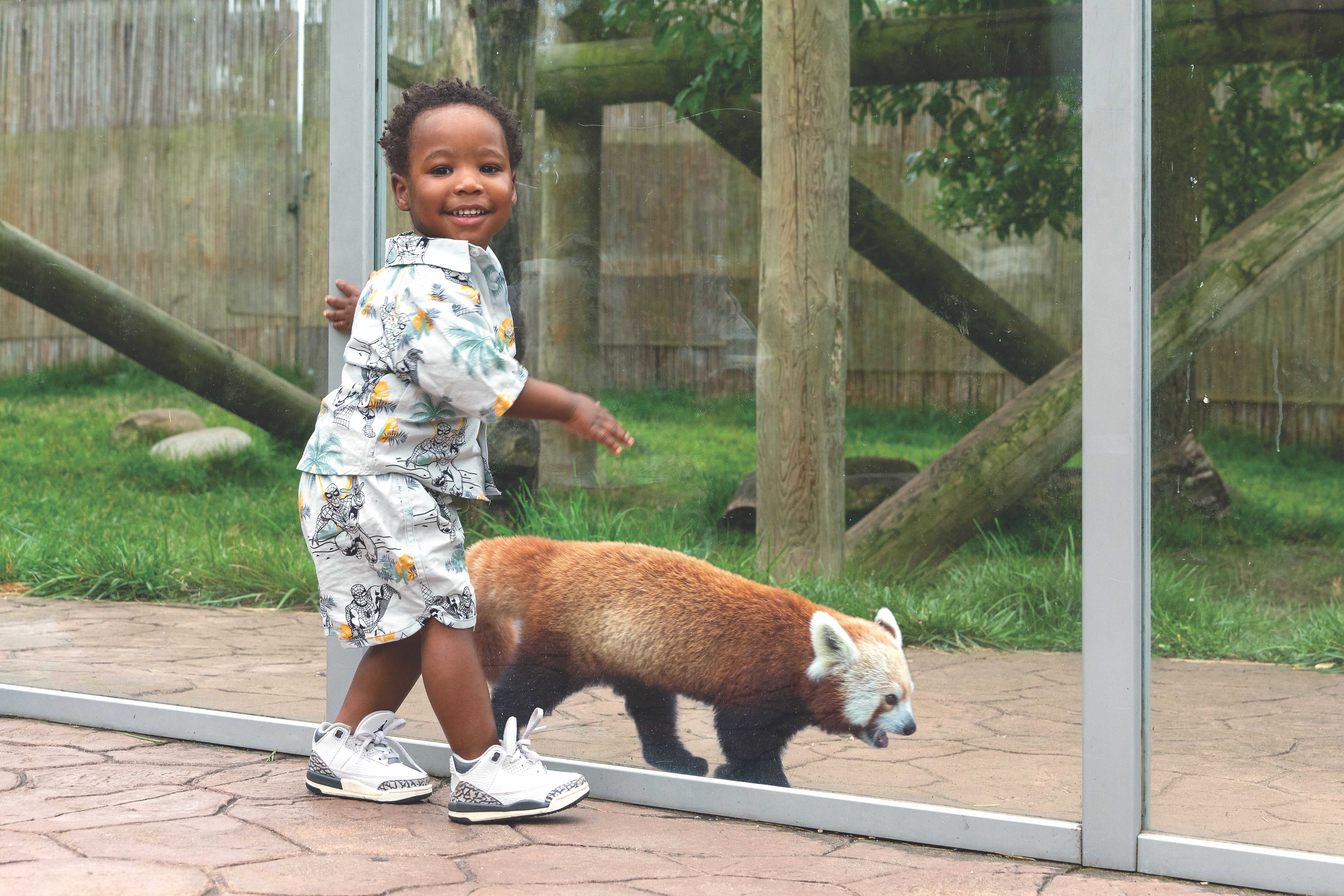 Child looking at red panda at Potawatomi Zoo in South Bend, Indiana (photo courtesy of Potawatomi Zoo) Child looking at red panda at Potawatomi Zoo in South Bend, Indiana (photo courtesy of Potawatomi Zoo)